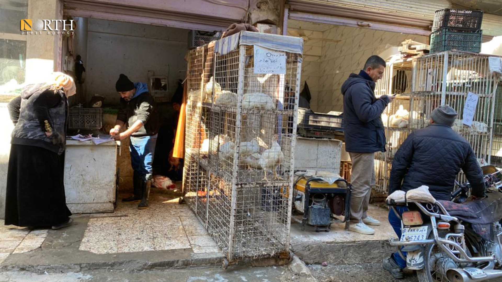محل لبيع مادة الفروج في ديرك- نورث برس