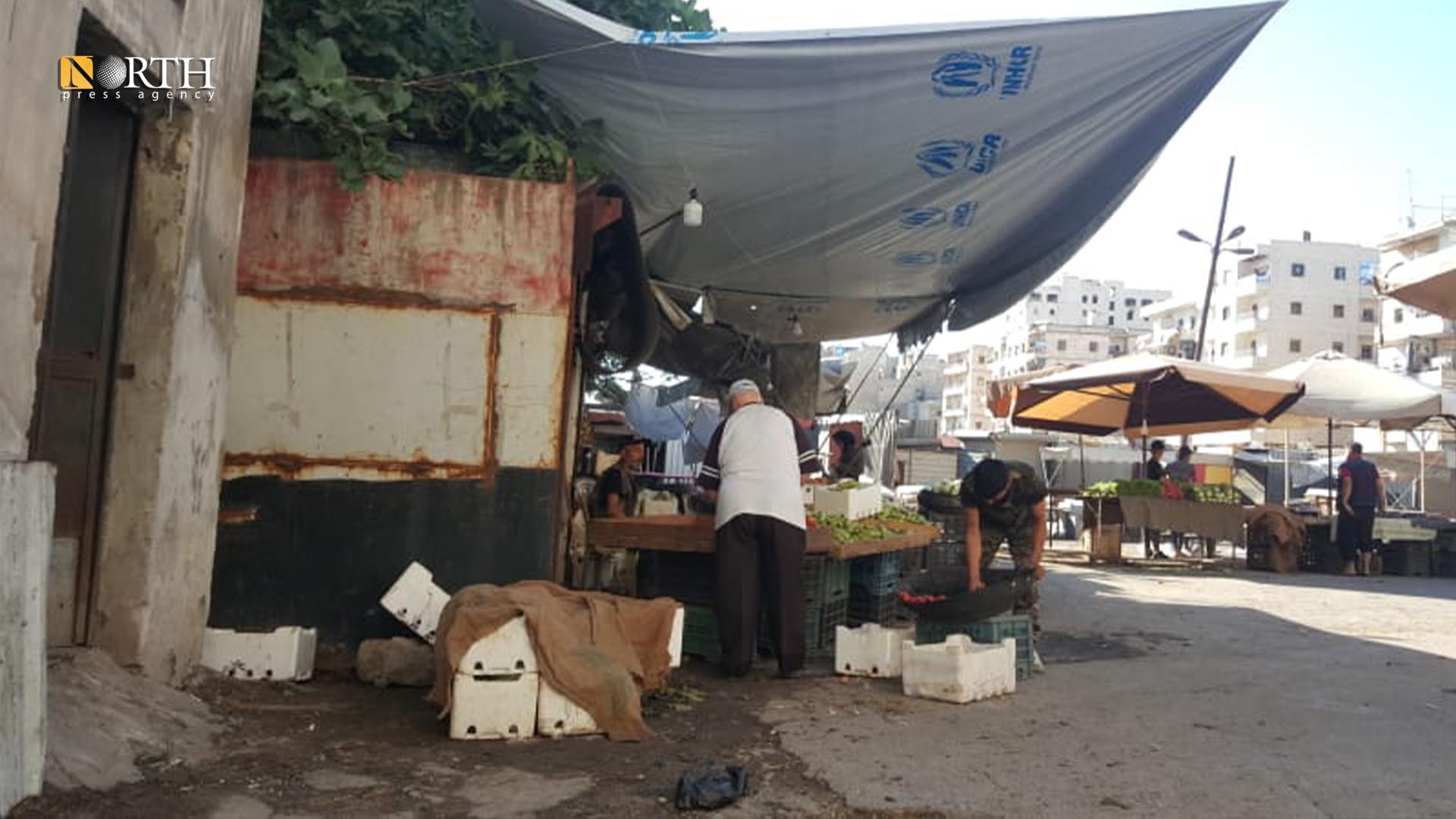 بائع خضرة في سوق حي الأشرفية بمدينة حلب- نورث برس