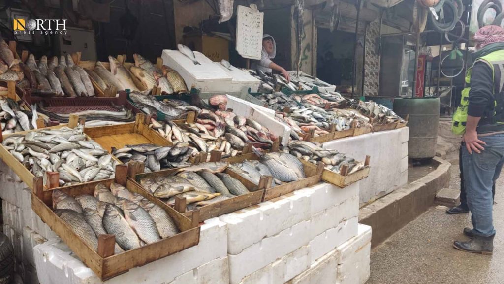 محل لبيع الأسماك التركية المجمدة في مدينة الدانا شمال إدلب- نورث برس