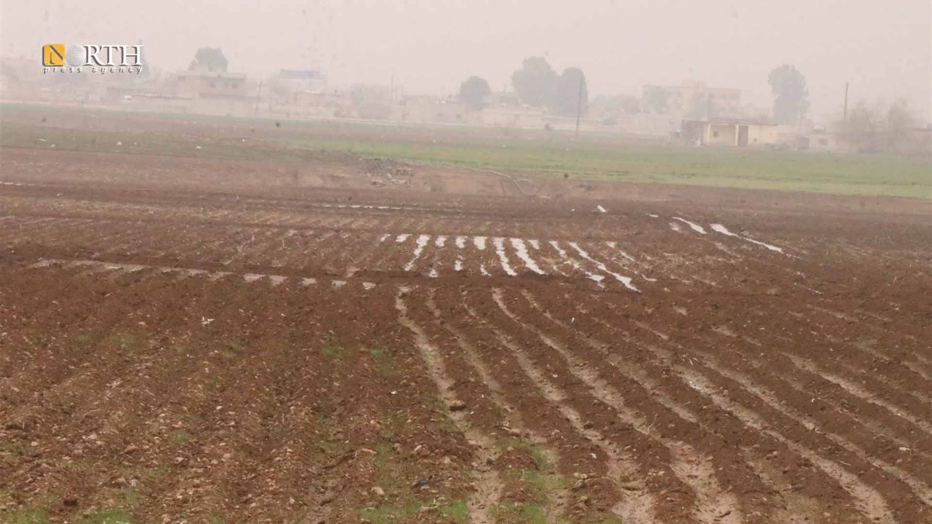 مزارعون بريف تل تمر يسقون المحاصيل الزراعية