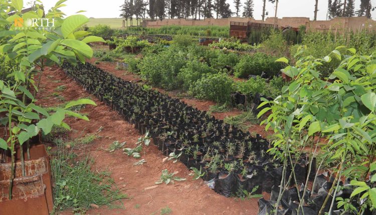 مشتل زراعي بريف حلب الشمالي أسسه نازح من منطقة عفرين- نورث برس
