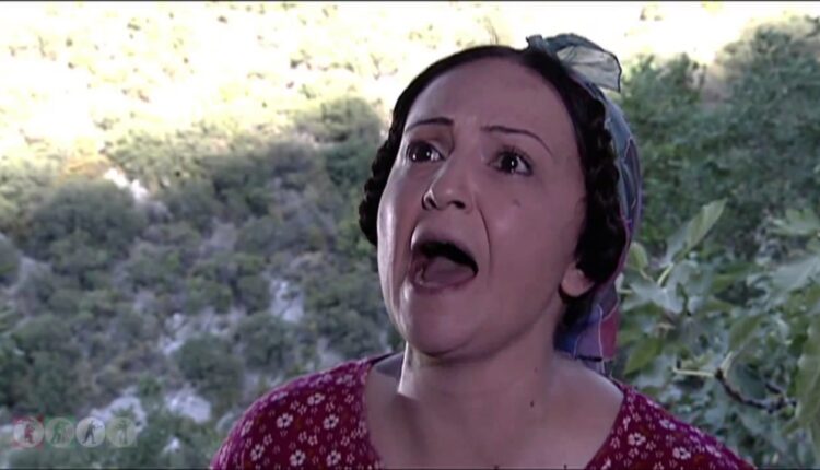 الفنانة تولاي هارون