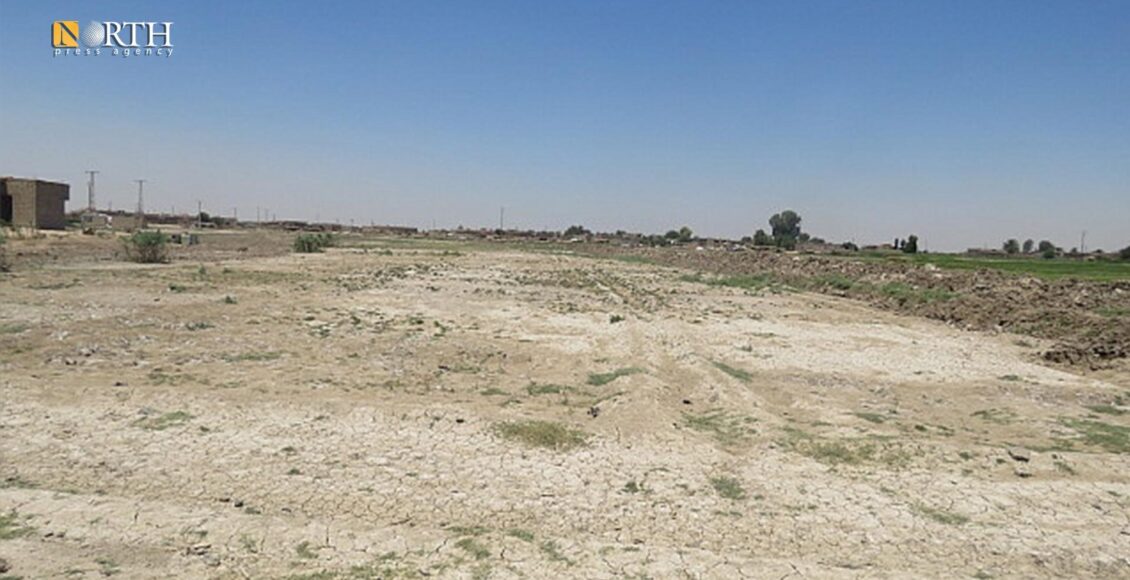 أراضٍ قاحلة بسبب ريها بمياه ملوثة في بلدة الشحيل شرقي دير الزور - نورث برس