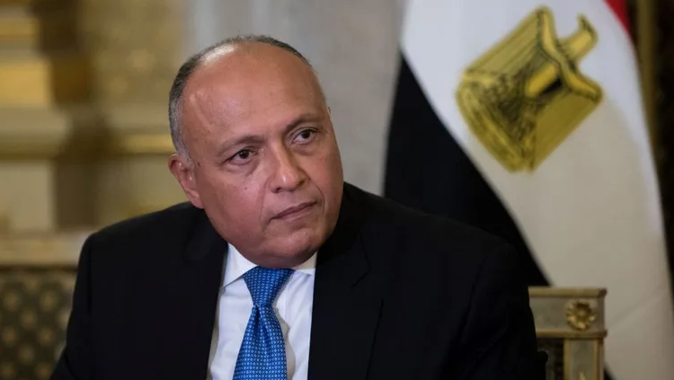 وزير الخارجية المصري سامح شكري – أنترنت