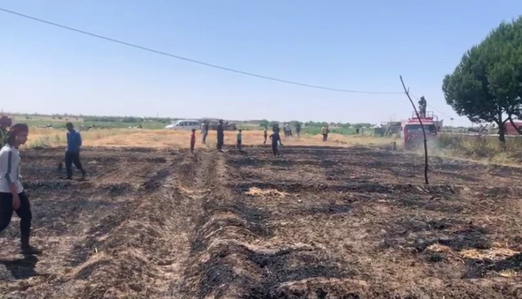 حريق في أحد محاصيل القمح ببلدة هجين - متداول