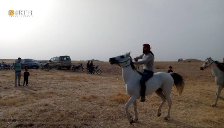 من مضمار سباق الخيل في بلدة زركان شمال الحسكة اليوم – نورث برس