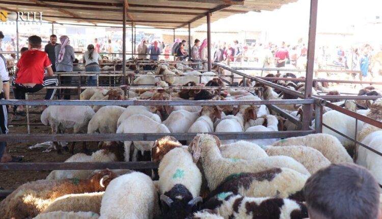 سوق جبرين للعواس جنوب شرقي حلب – نورث برس/ أرشيفية