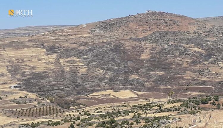 تلال بين بلدة قنوات ومفعلة في ريف السويداء الشمالي – نورث برس