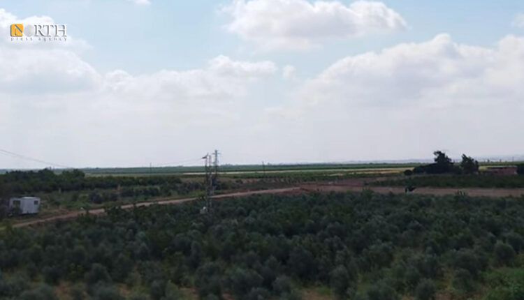 سهول مدينة طفس بريف درعا الغربي - نورث برس