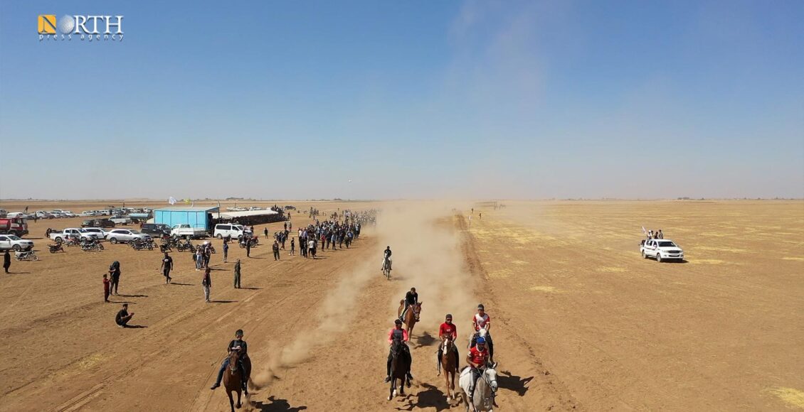 مهرجان الخيول العربية الأصيلة بريف القامشلي - نورث برس