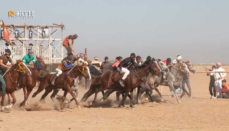 مهرجان للخيول العربية الأصيلة في الجزيرة السورية - نورث برس