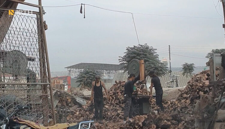 عناصر من الجيش الوطني الموالي لتركيا يقطعون جذوع وأغصان أشجار الزيتون في مدينة عفرين - نورث برس