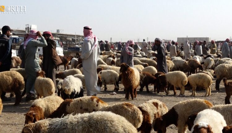 سوق الماكف (المواشي) في الرقة - نورث برس/ أرشيفية