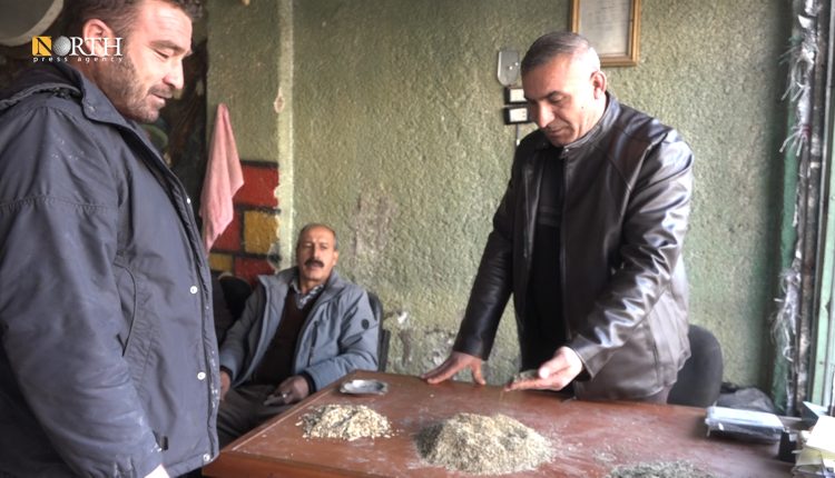 محل في كوباني لتجارة المحاصيل الزراعية - نورث برس