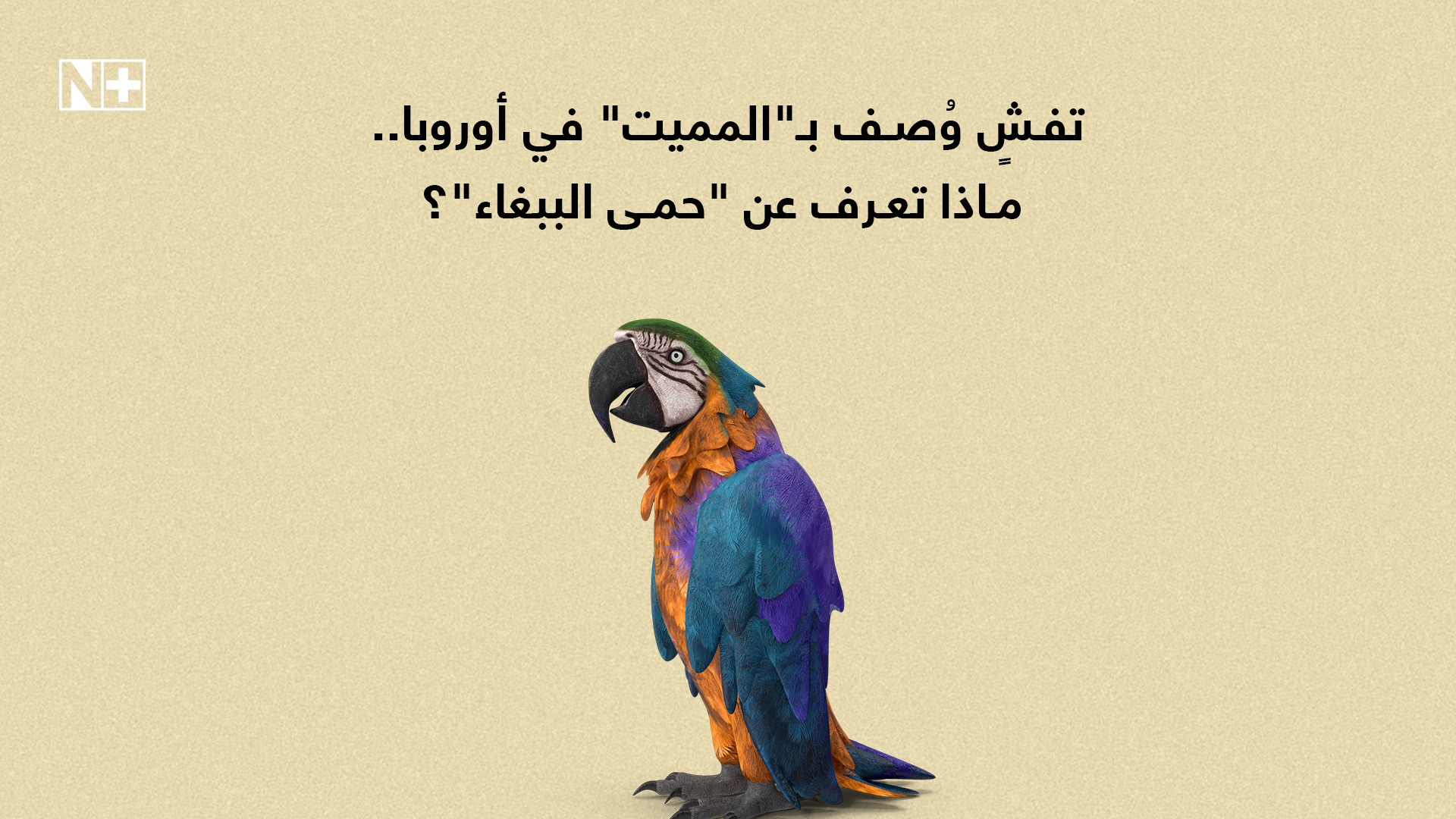 تفشٍ وُصف بـ"المميت" في أوروبا.. ماذا تعرف عن "حمى الببغاء"؟