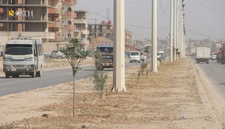 مدينة الحسكة - نورث برس