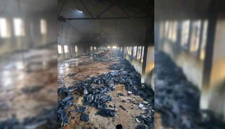 نفوق آلاف الصيصان جراء حريق في مدجنة بريف حماة - متداول