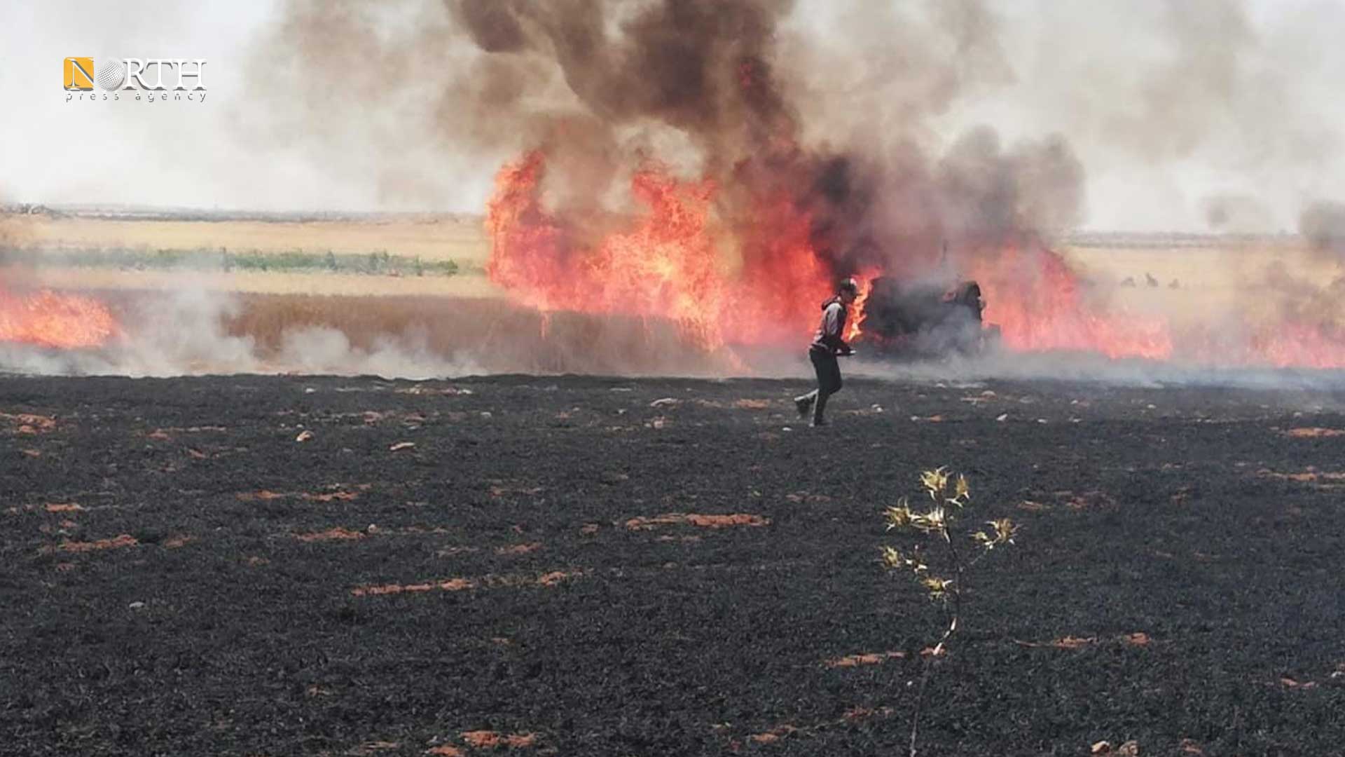 حريق في أرض زراعية مزروعة بالقمح بريف درعا - نوث برس