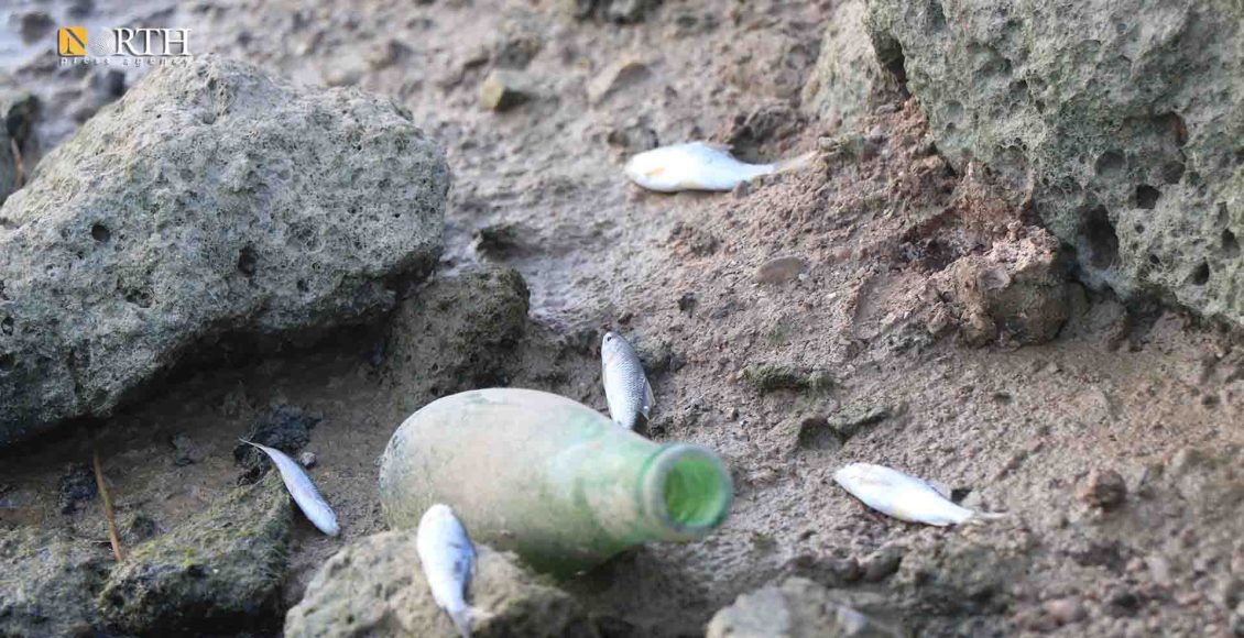 جفاف شبه تام لنهر الخابور في ريف الحسكة - نورث برس