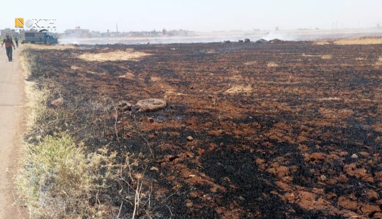 حريق بأرض زراعية بريف درعا - نورث برس