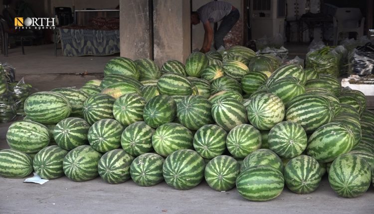 محل لبيع البطيخ الأحمر في سوق الهال بكوباني – نورث برس