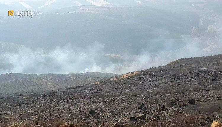 حرائق مستمرة منذ أيام في أحراش ناحية راجو بريف عفرين - نورث برس