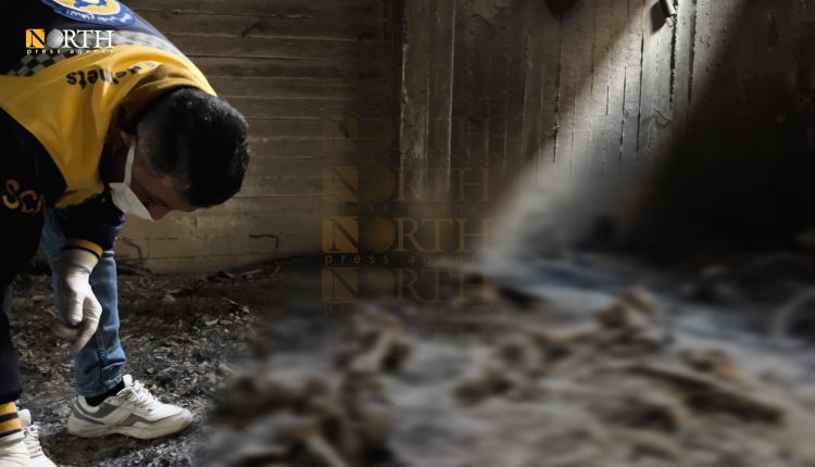 مقبرة جماعية بريف دمشق - نورث برس