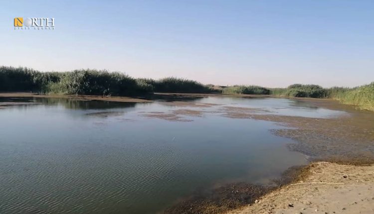 تلوث في نهر الفرات في ريف دير الزور – نورث برس
