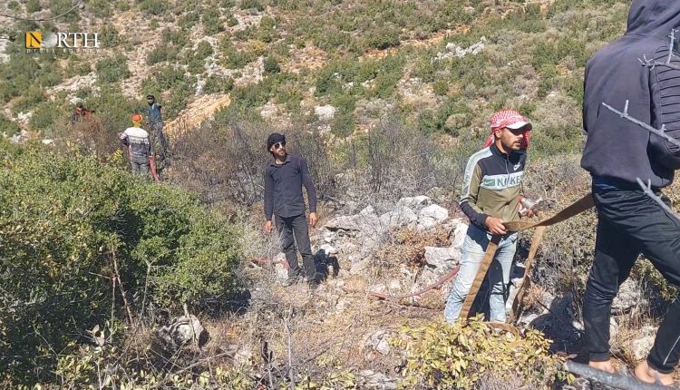 شبان القرى وهم يكافحون ألسنة اللهب في غابات اللاذقية - نورث برس