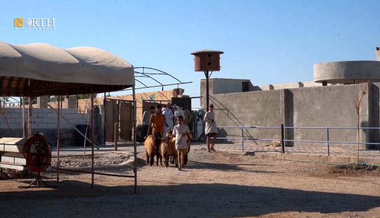 جانب من معرض نوادر الجزيرة في الرقة - نورث برس