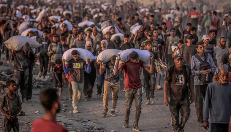 فلسطينيون يحملون أكياس طحين وسط جوع وحصار شديدين واستمرار القصف الإسرائيلي - الأناضول