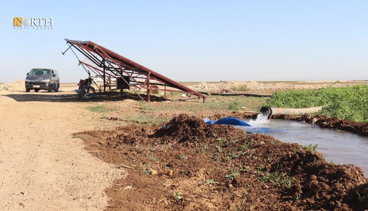 أرض زراعية في كوباني - نورث برس