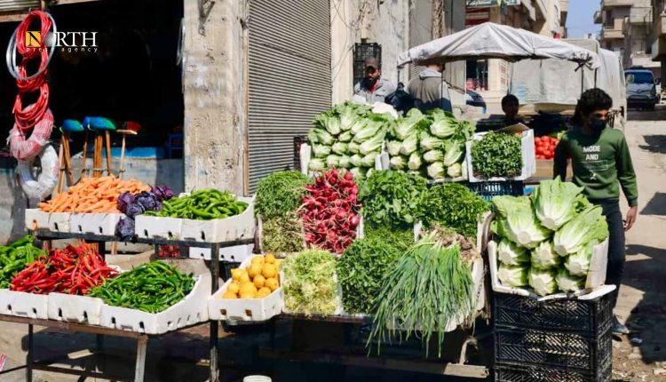بسطة لبيع الخضروات والفواكه في الرقة – نورث برس
