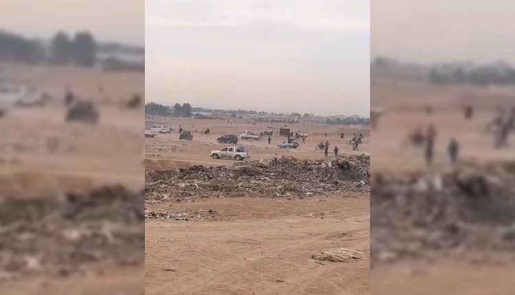 سوق المواشي بحي المشيرفة بالحسكة – متداول