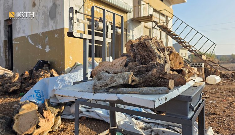 كومة حطب مجمعة في ريف حمص مخصصة للتدفئة - نورث برس