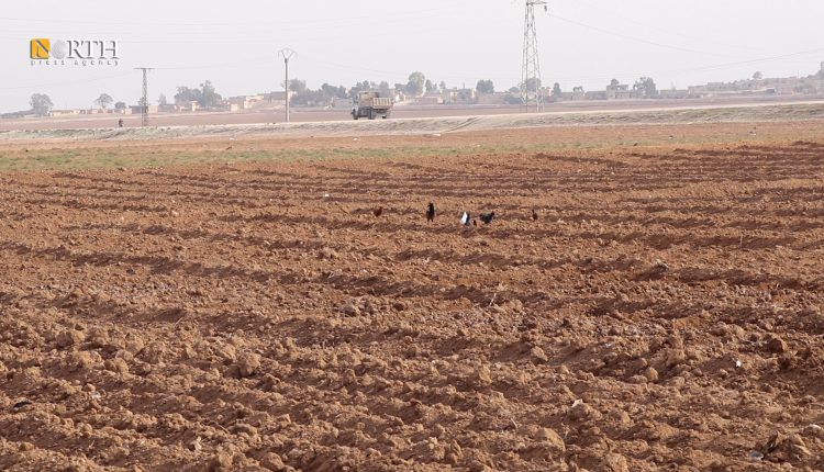 أرض زراعية في الحسكة - نورث برس