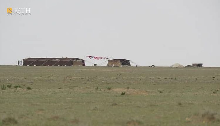 رعاة أغنام بالقرب من الحدود السورية العراقية - نورث برس