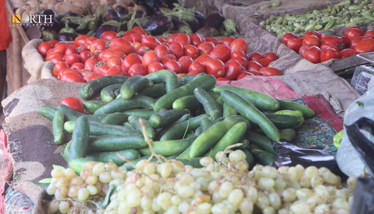 الإنتاج المحلي من الخضراوات الصيفية- نورث برس