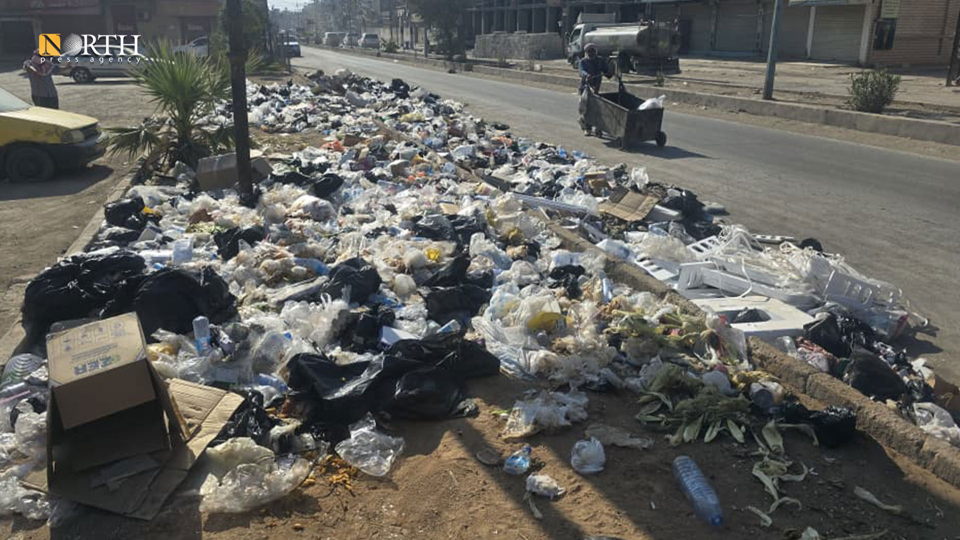 صورة الخبر