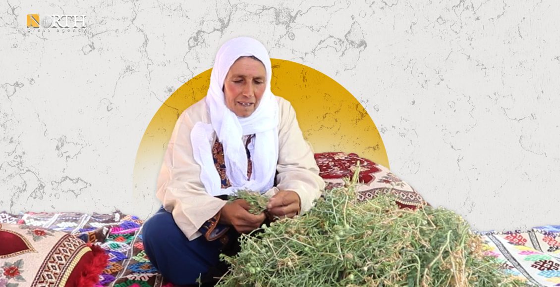 مة شيخو عبدي تصنع لوحات الزينة من نبتة الحرمل (بوغير) ـ نورث برس