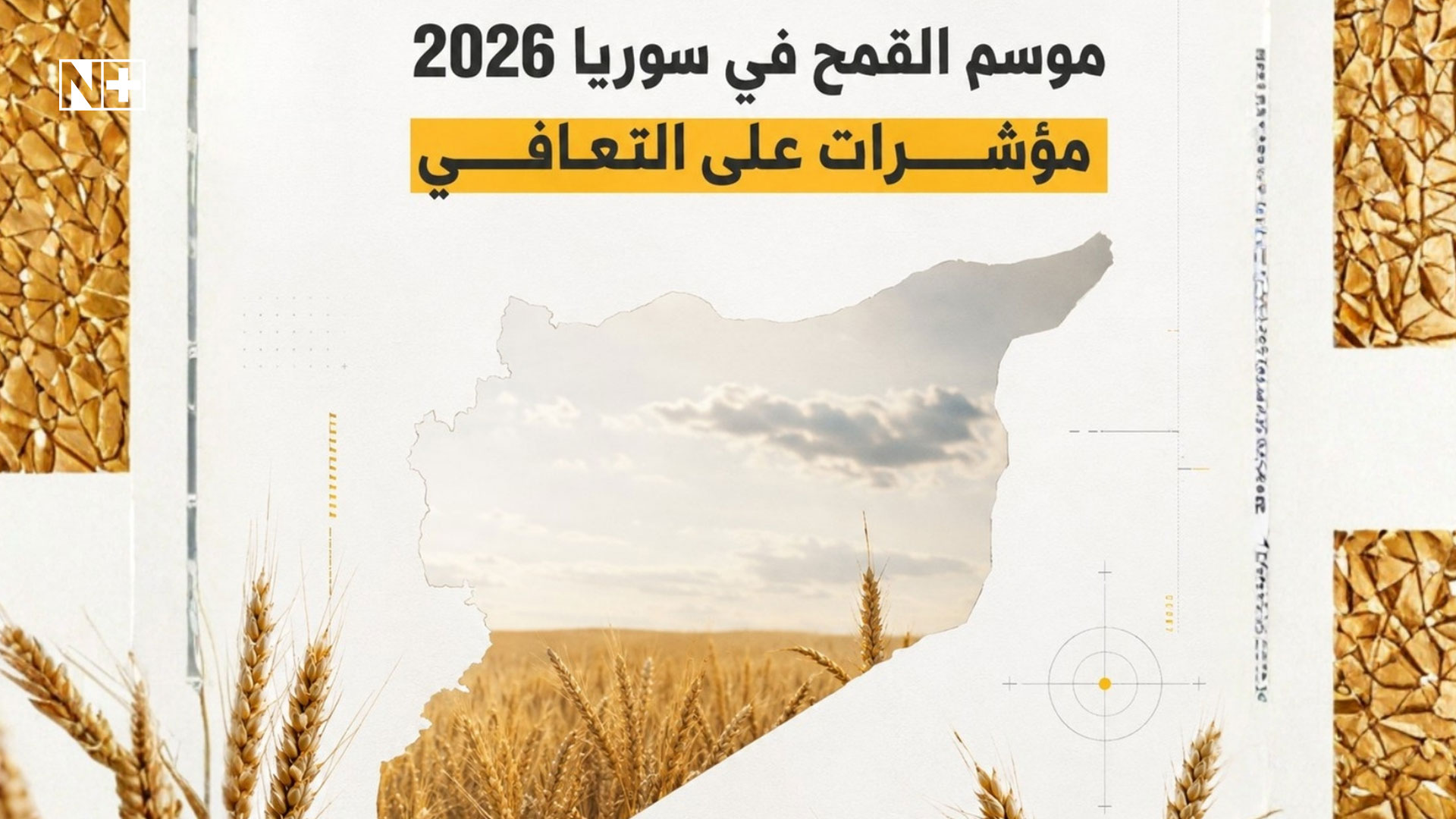 صورة الخبر